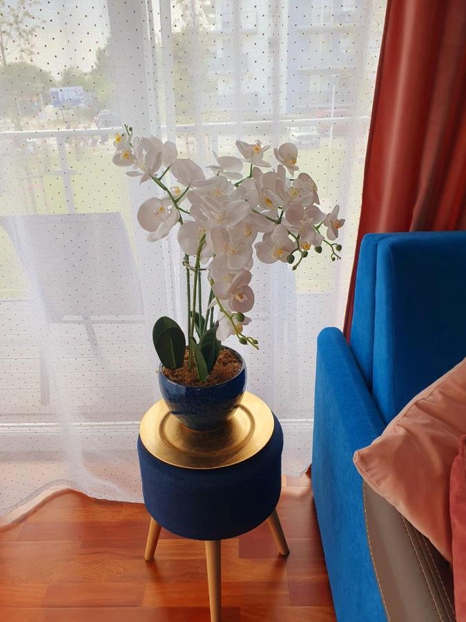 Apartament Comfort I Колобжег Екстер'єр фото
